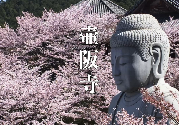 【奈良・壷阪寺】巨大観音がそびえる歴史あるお寺|眼病平癒・健康祈願のパワースポット