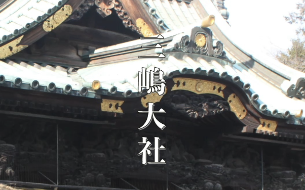 静岡・三嶋大社｜源頼朝ゆかりの開運・縁結び神社！歴史・ご利益・アクセス情報を徹底解説