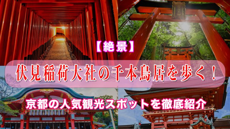 【京都観光】伏見稲荷大社の千本鳥居を歩く!絶景と歴史を巡る完全ガイド