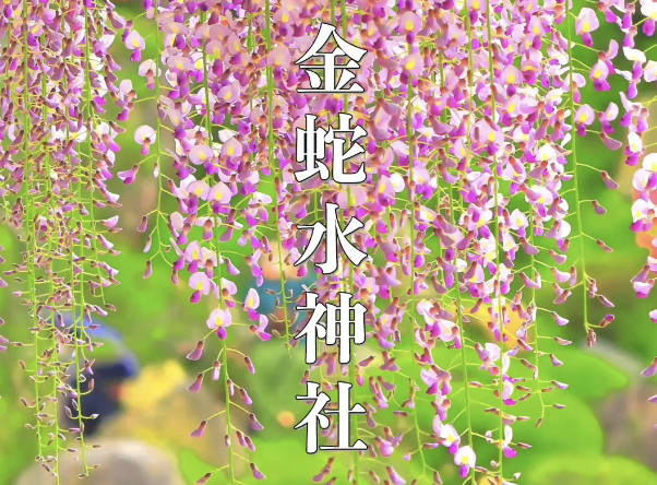 金運アップの最強パワースポット！宮城県・金蛇水神社のご利益と見どころ完全ガイド