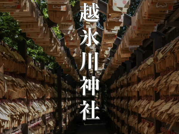 【2025年夏詣】川越氷川神社の風鈴回廊と御朱印！癒しと開運のパワースポット