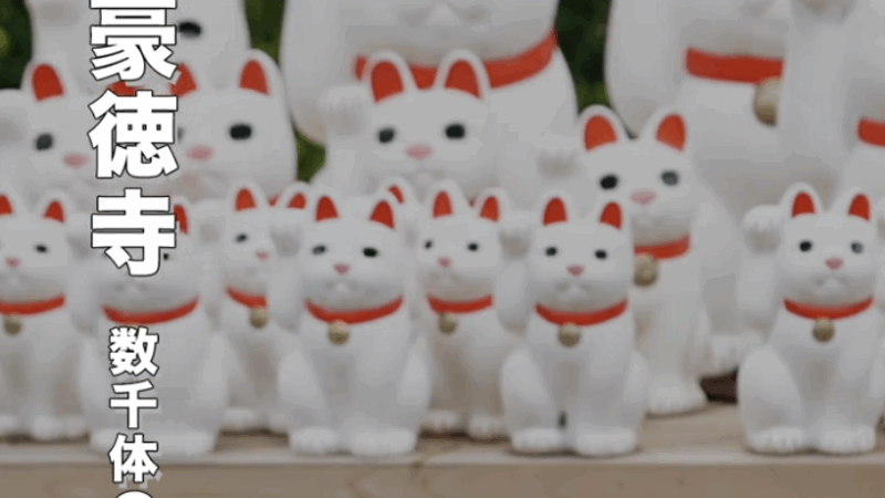 🐾【東京・世田谷の開運スポット】招き猫の聖地・豪徳寺とは?猫好き必見のお寺を徹底紹介!