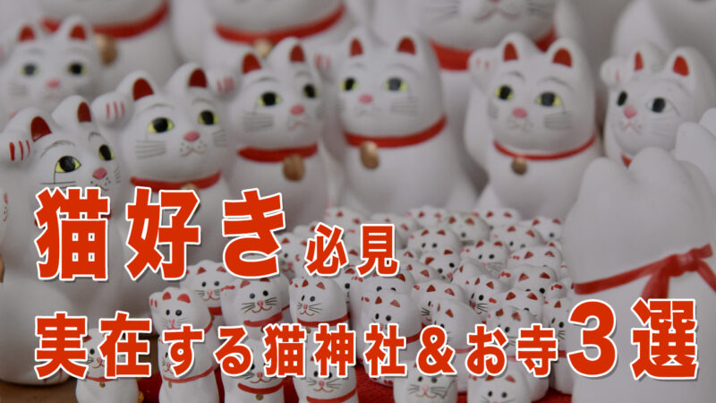 🐱【猫好き必見】日本全国の猫に出会える神社&お寺3選|招き猫発祥の地や“猫寺”で癒しとご利益を体感