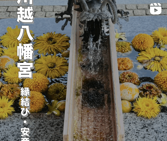 川越八幡宮｜夫婦イチョウと縁結びのパワースポット【埼玉・川越市】