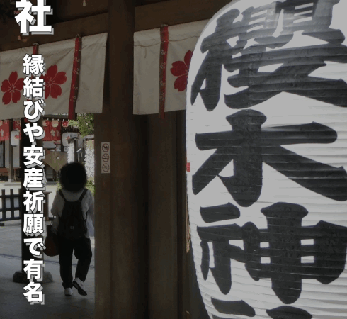 櫻木神社（千葉県野田市）｜桜が咲く縁結び・安産祈願のパワースポット