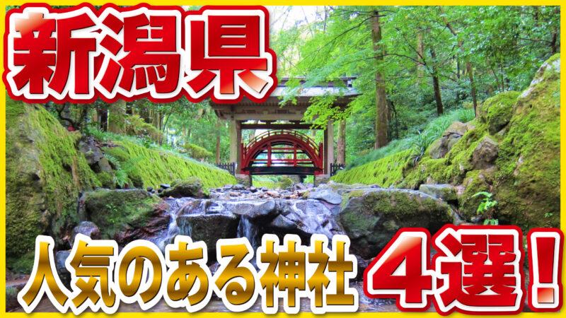 新潟県の人気神社4選｜縁結び・勝負運・ご利益があるおすすめパワースポットを徹底紹介