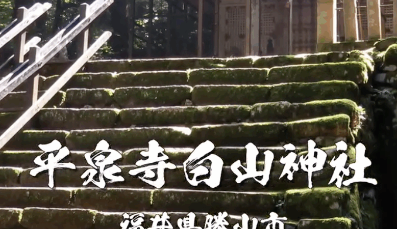 【平泉寺白山神社|福井県勝山市】苔が美しい神秘の聖地|1300年の白山信仰が宿る癒しのパワースポット