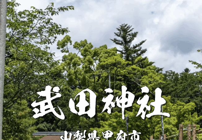武田神社(甲府市)|勝負運アップに強い!武田信玄公ゆかりの最強パワースポット徹底ガイド