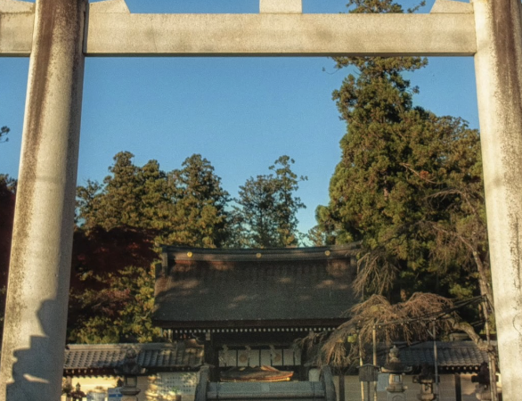 滋賀県の人気神社5選｜琵琶湖周辺のおすすめパワースポット巡り｜観光・ご利益・アクセス情報まとめ