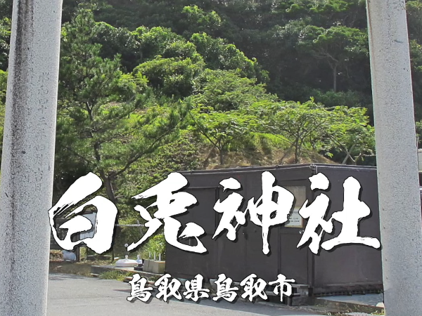 白兎神社とは？因幡の白兎伝説と恋愛成就で知られる鳥取屈指の縁結び神社